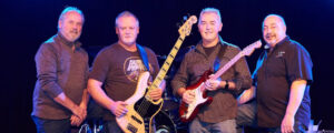 The Boys of Summer party band