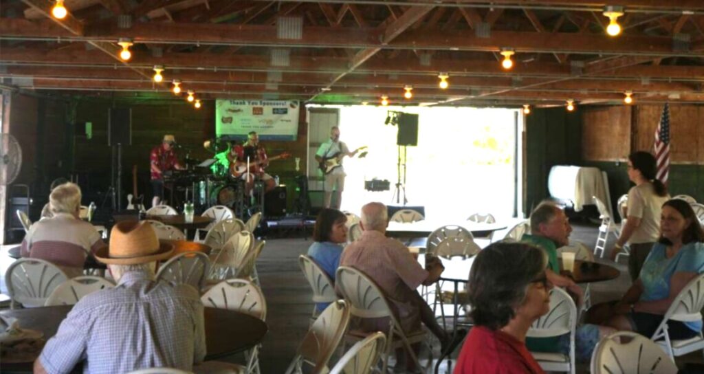 The crowd enjoying The Boys of Summer